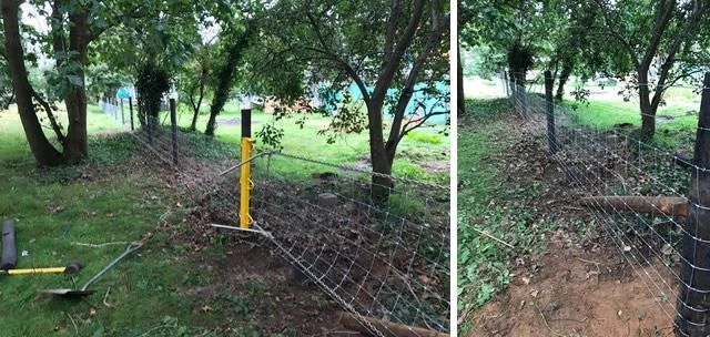 Installing stock fencing in Abingon